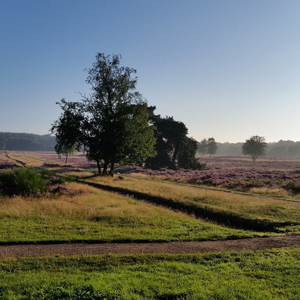 Eendaagse Groots leven - 22 november 2024